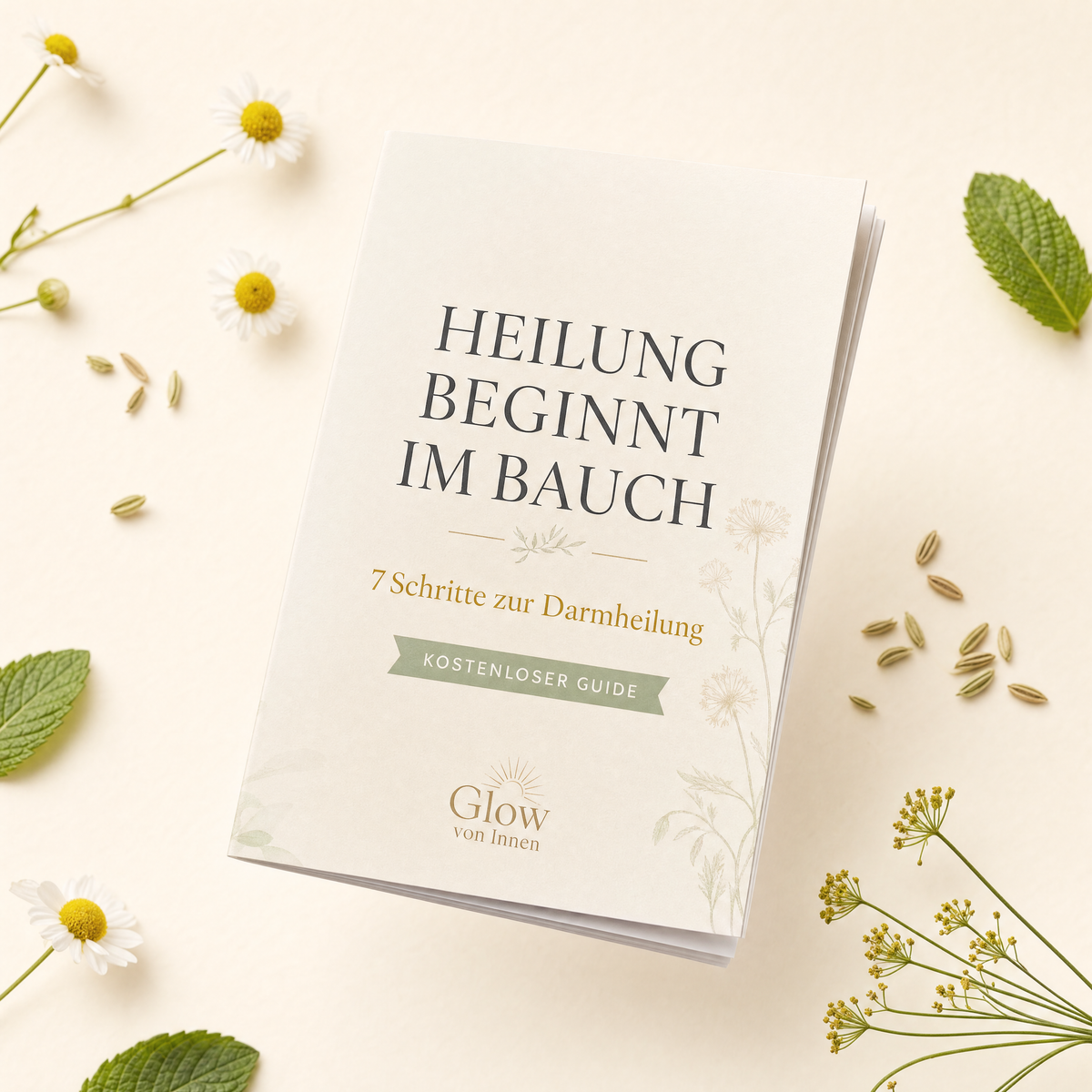 Heilung beginnt im Bauch - Dein kostenloses E-Book zur Darmheilung